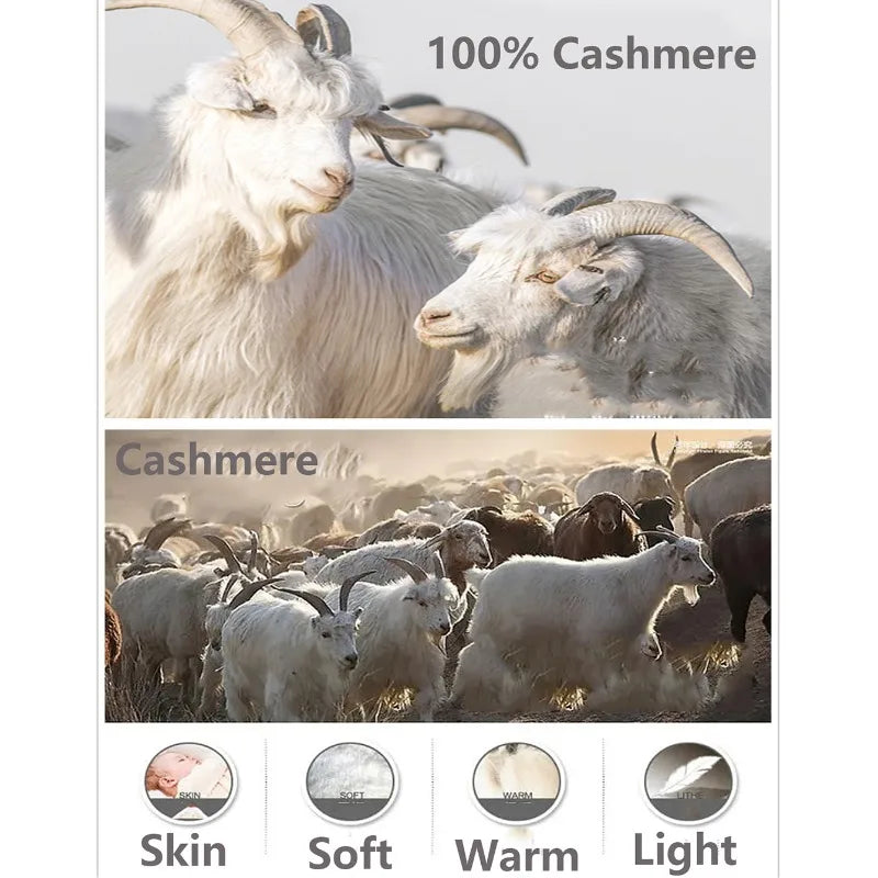 Women 100% Pure Cashmere Knit Scarf Patterned Winter Warm Soft Cozy Fashion Casual Neck Warmer Cold Weather Accessory