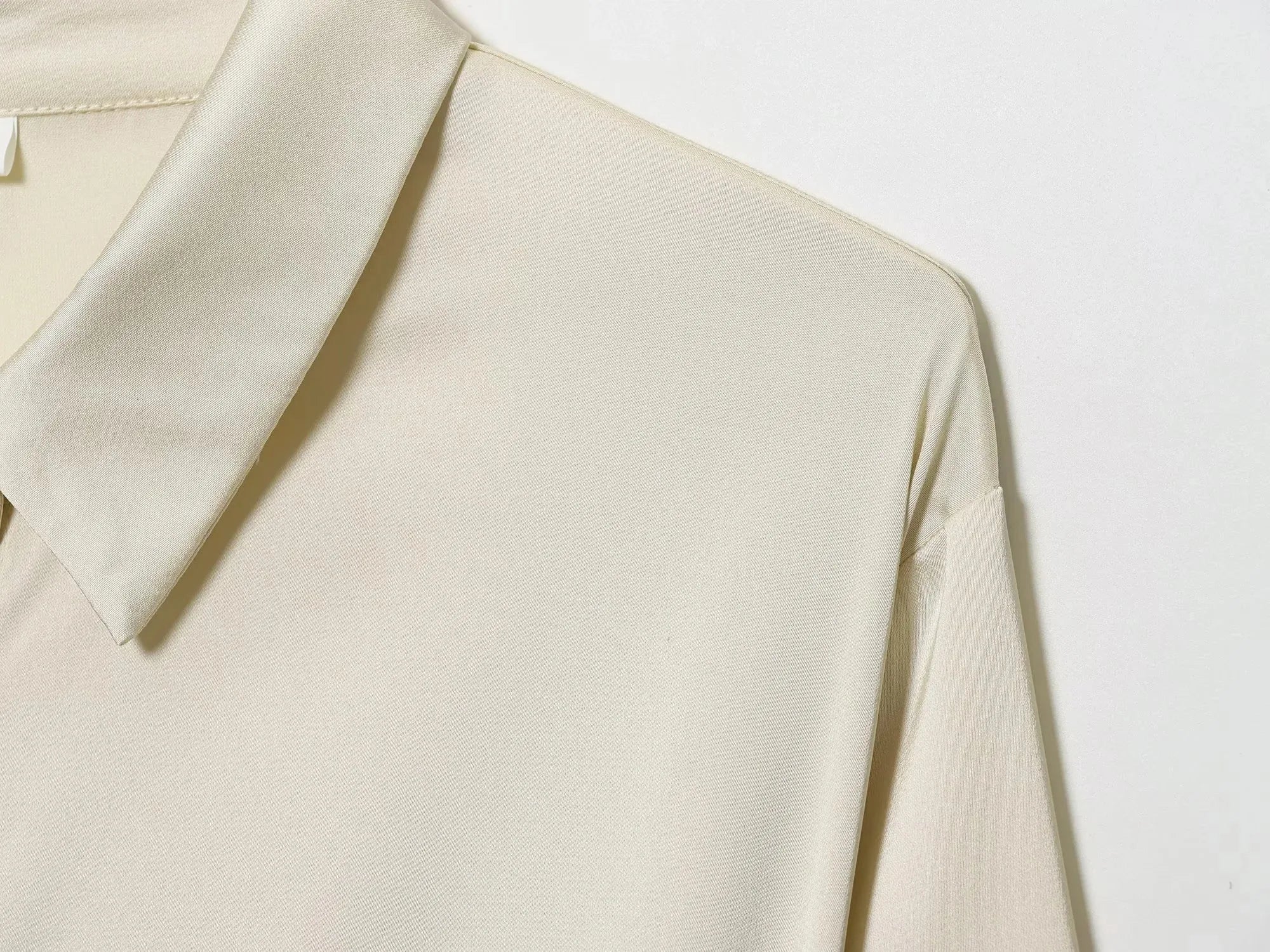 Women 2025 Autumn Winter New Silk Satin Blouse Turn-down Collar Single Breasted Long Sleeve Loose Blouse Fashion Shirt