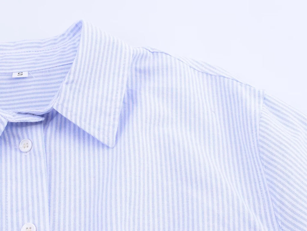 HH Women's 2025 Fashion Versatile Waist Pleated Striped Short Shirt Female Elegant Lapel Single-Breasted Long-Sleeved Shirt