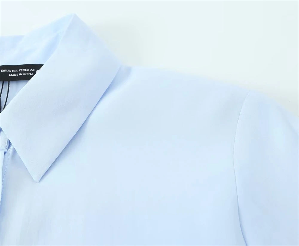 Women's Shirt 2025 New Fashion Autumn Winter Long Sleeve Soft Drape Shirt for Women Casual Chic Ladies Clothes