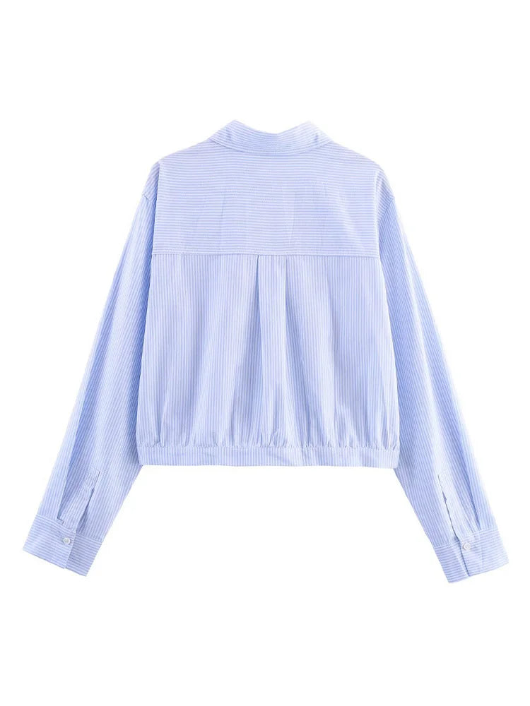 HH Women's 2025 Fashion Versatile Waist Pleated Striped Short Shirt Female Elegant Lapel Single-Breasted Long-Sleeved Shirt