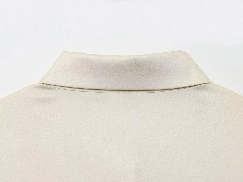 Women 2025 Autumn Winter New Silk Satin Blouse Turn-down Collar Single Breasted Long Sleeve Loose Blouse Fashion Shirt