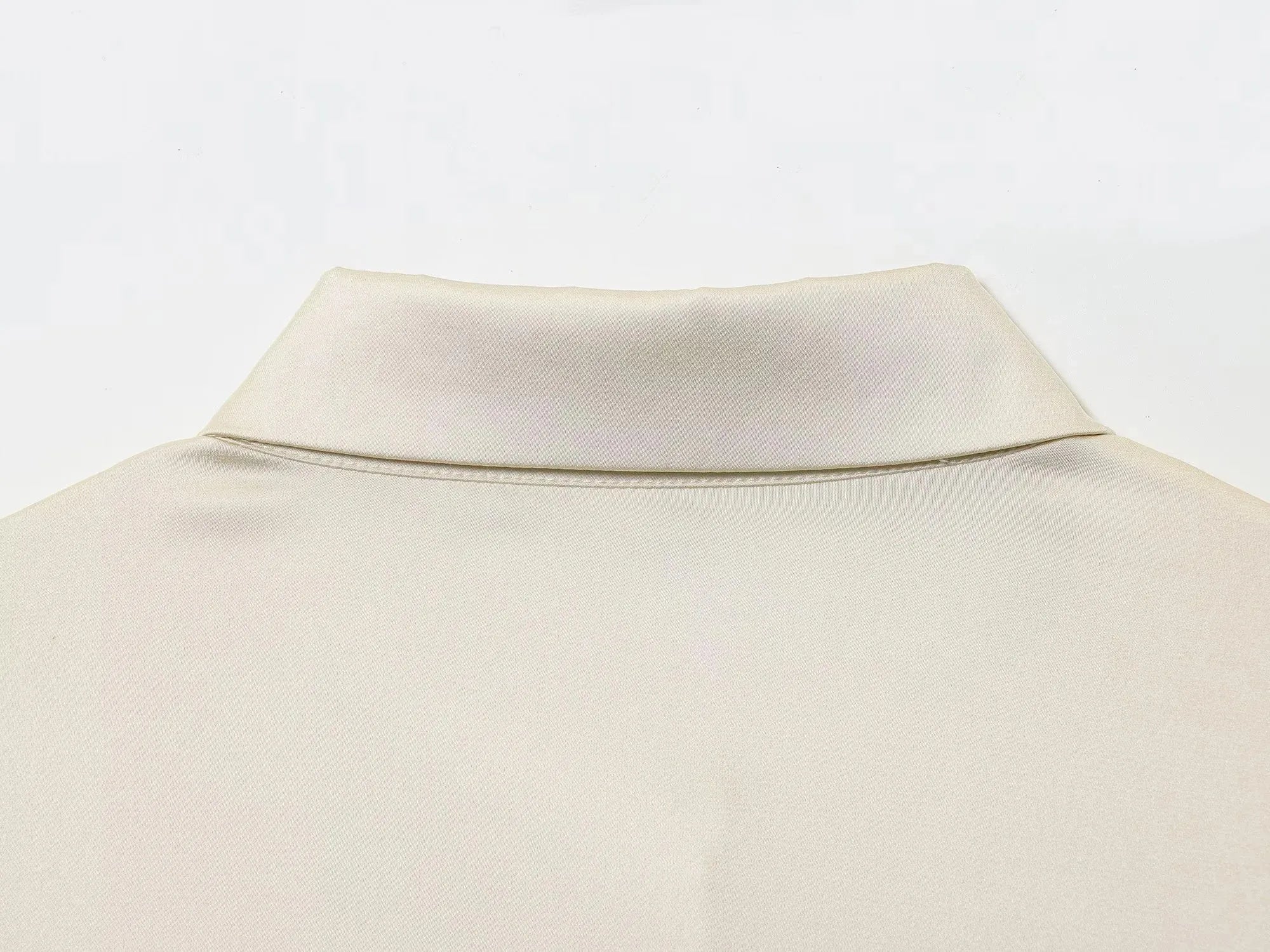 Women 2025 Autumn Winter New Silk Satin Blouse Turn-down Collar Single Breasted Long Sleeve Loose Blouse Fashion Shirt