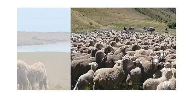 100% Wool Coat Women New Warm Sheep Shearing Long Solid Color Long Coat Lamb Wool casacos femininos inverno 2025