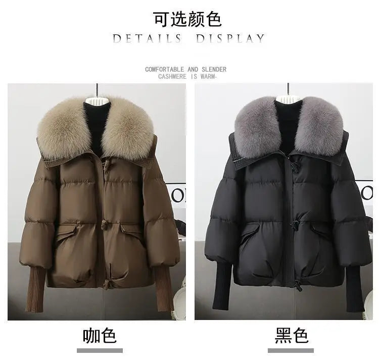 Women Winter Down Cotton Jacket 2025 New Women Warm Thick Cotton Coat Larger Fur Collar Cotton Padded Jacket Women Parka Coat