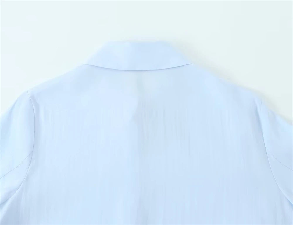 Women's Shirt 2025 New Fashion Autumn Winter Long Sleeve Soft Drape Shirt for Women Casual Chic Ladies Clothes